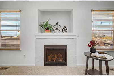 9917 Aftonwood Street, Highlands Ranch, CO 80126 - Photo 10