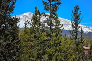 211 Pine Ridge Rd, Alma, CO 80420 - Photo 14