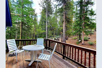 211 Pine Ridge Road, Alma, CO 80420 - Photo 24