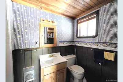 211 Pine Ridge Road, Alma, CO 80420 - Photo 28