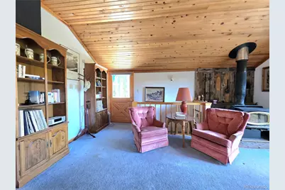 211 Pine Ridge Road, Alma, CO 80420 - Photo 10