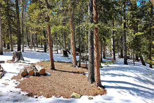 211 Pine Ridge Rd, Alma, CO 80420 - Photo 36