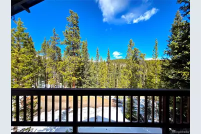 211 Pine Ridge Road, Alma, CO 80420 - Photo 16