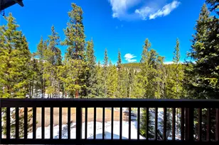 211 Pine Ridge Rd, Alma, CO 80420 - Photo 16