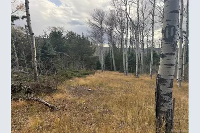 2663 Petito Drive, Fort Garland, CO 81133 - Photo 2