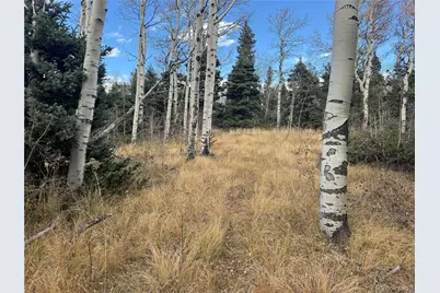 2663 Petito Drive, Fort Garland, CO 81133 - Photo 14