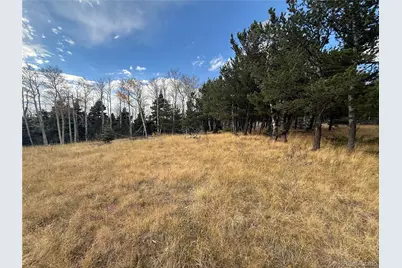 2663 Petito Drive, Fort Garland, CO 81133 - Photo 6