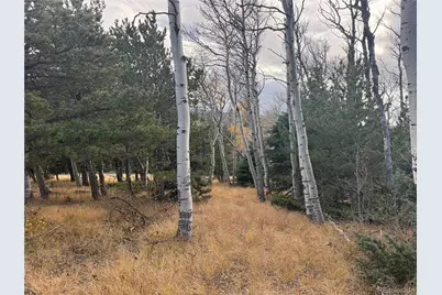 2663 Petito Drive, Fort Garland, CO 81133 - Photo 4