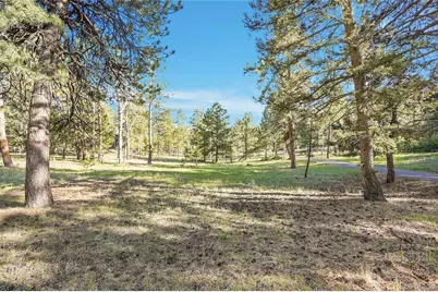 Molly Dr, Lot #1, Conifer, CO 80433 - Photo 12