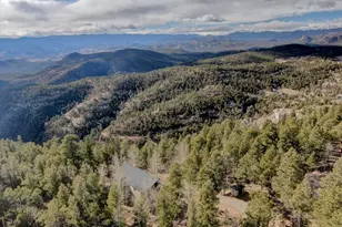13391 Callae Dr, Conifer, CO 80433 - Photo 46