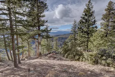 13391 Callae Drive, Conifer, CO 80433 - Photo 44