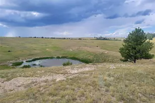 3619 Co Rd 106, Elizabeth, CO 80107 - Photo 1