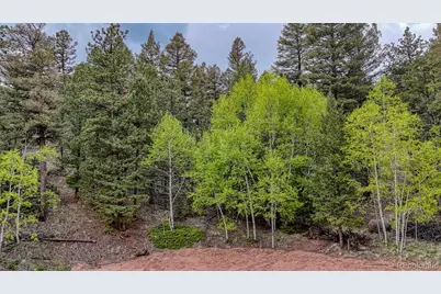 918 Pinon Lane, Florissant, CO 80816 - Photo 26