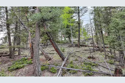 918 Pinon Lane, Florissant, CO 80816 - Photo 10