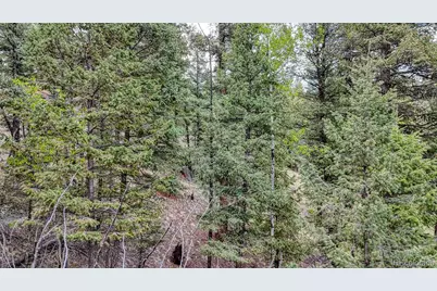 918 Pinon Lane, Florissant, CO 80816 - Photo 16