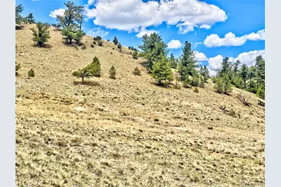 243 June Lane, Hartsel, CO 80449 - Photo 18