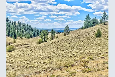 243 June Lane, Hartsel, CO 80449 - Photo 1