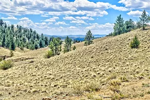 243 June Ln, Hartsel, CO 80449 - Photo 1