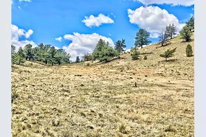 243 June Lane, Hartsel, CO 80449 - Photo 10