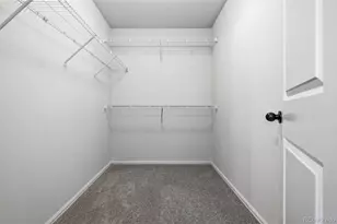 1506 New Season Dr, Windsor, CO 80550 - Photo 32