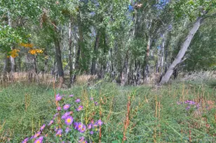 37401 Us-160 Parkway, Trinidad, CO 81082 - Photo 12