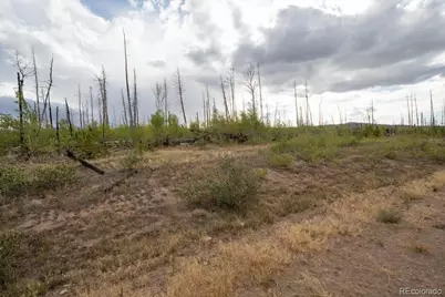 Lot 1446 Emery Loop, Fort Garland, CO 81133 - Photo 16