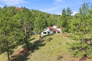 13694 Drake Ct, Pine, CO 80470 - Photo 46