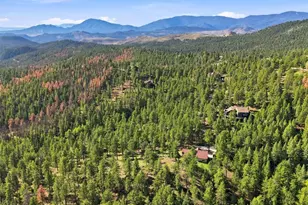 13694 Drake Ct, Pine, CO 80470 - Photo 50