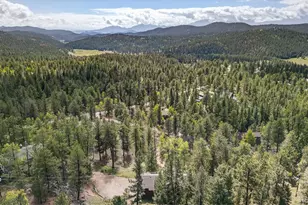 11665 S Upper Ranch Dr, Pine, CO 80470 - Photo 2