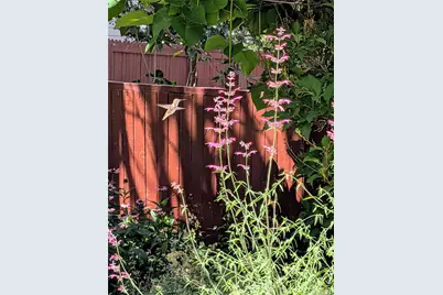 10645 Nucla Street, Commerce City, CO 80022 - Photo 32