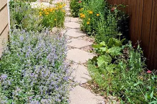 10645 Nucla St, Commerce City, CO 80022 - Photo 34