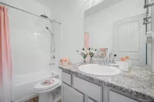 6788 Zebra Grass Ln, Parker, CO 80138 - Photo 16