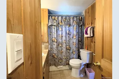 506 E 9th Street, Leadville, CO 80461 - Photo 22