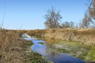 23533 Co Rd 35, La Salle, CO 80645 - Photo 40