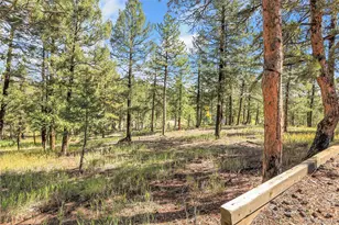 33624 Iroquois Trail, Pine, CO 80470 - Photo 44