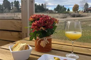 12391 Evergreen Trail, Parker, CO 80138 - Photo 38