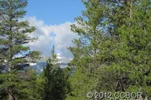 205 Alpine Cirque, Leadville, CO 80461 - Photo 1