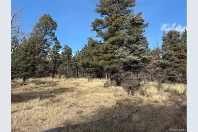 310 Morley Place, Fort Garland, CO 81133 - Photo 1