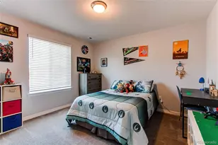 14475 Grape Way, Brighton, CO 80602 - Photo 30