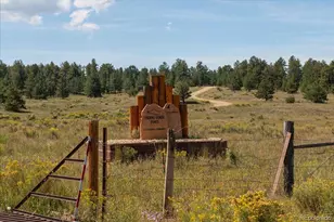 832 Wykagyl Rd, Westcliffe, CO 81252 - Photo 32