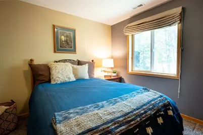 186 Spring Beauty Drive, Silverthorne, CO 80498 - Photo 20
