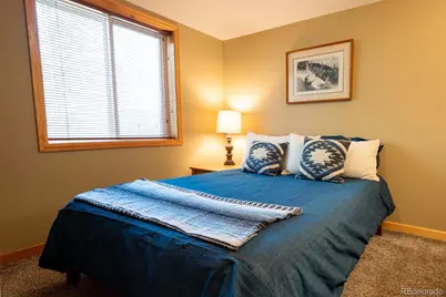 186 Spring Beauty Drive, Silverthorne, CO 80498 - Photo 22