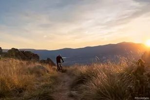 13780 Daffodil Wy, Parker, CO 80134 - Photo 38