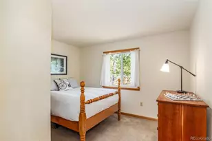 318 Foxtail Ln, Fairplay, CO 80440 - Photo 26