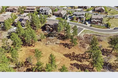 1600 Knotty Pine Way, Castle Rock, CO 80108 - Photo 48