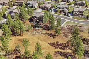 1600 Knotty Pine Way, Castle Rock, CO 80108 - Photo 48