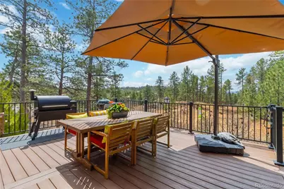 1600 Knotty Pine Way, Castle Rock, CO 80108 - Photo 38