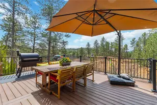 1600 Knotty Pine Way, Castle Rock, CO 80108 - Photo 38