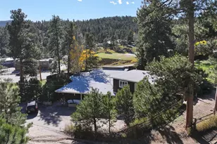 3979 Ponderosa Ln, Evergreen, CO 80439 - Photo 44