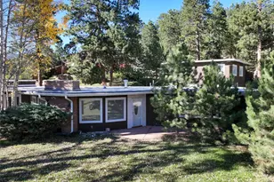 3979 Ponderosa Ln, Evergreen, CO 80439 - Photo 48